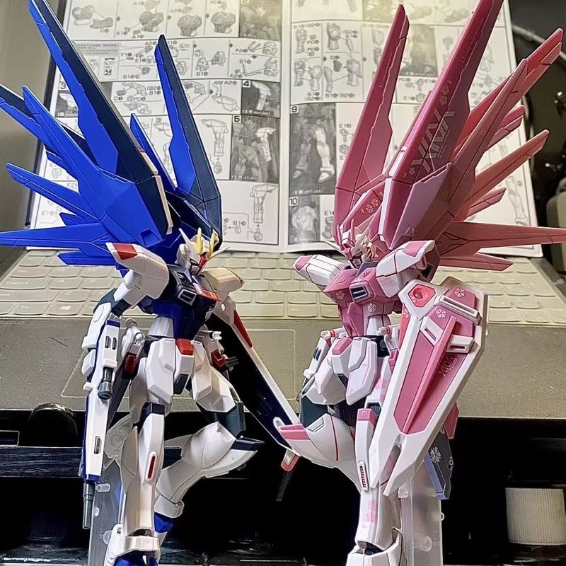 JMS HG 1/144 ZY-06 Freedom Ass - Bandai Model Gundam Hg review and price